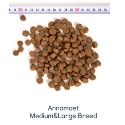 Medium & Large Breed Dry Dog Food H5067