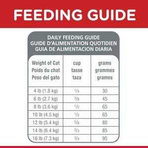 Adult Dry Cat Food V6373