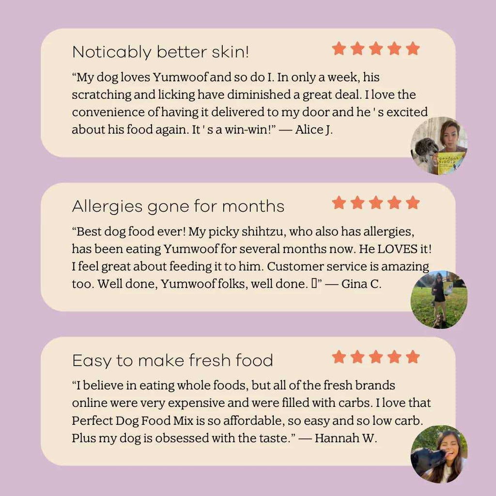 Dog Food Mix G497160