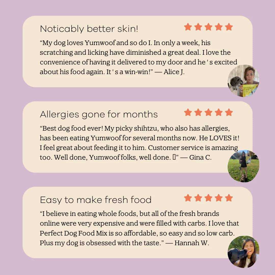 Dog Food Mix G497160