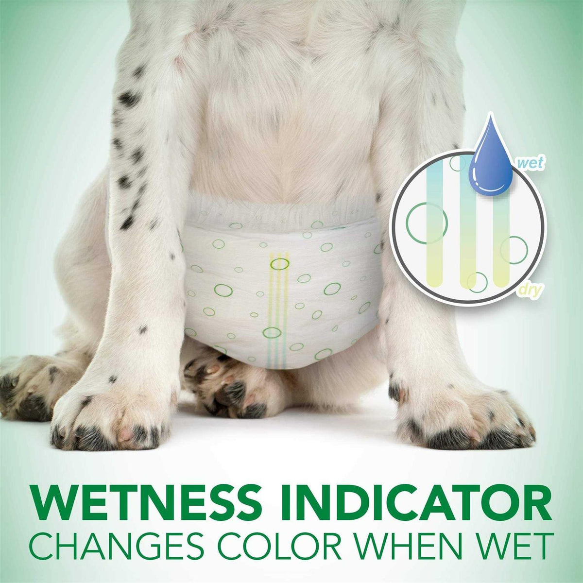 Disposable Female Dog Diapers V22618