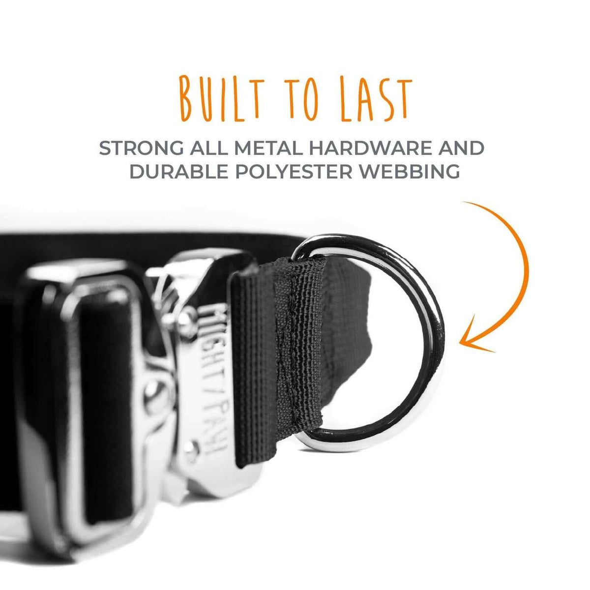 Heavy Duty Dog Collar with Metal Buckle Z446