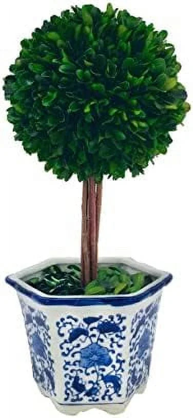 Preserved Boxwood Topiary Tree in Ceramic Planter 14" Tall S169249