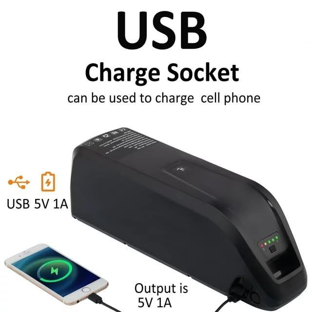 48V 10AH Lithium Electric Bike Battery with Charger Z842999