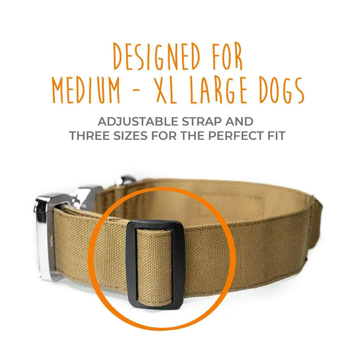Heavy Duty Dog Collar with Metal Buckle Z446