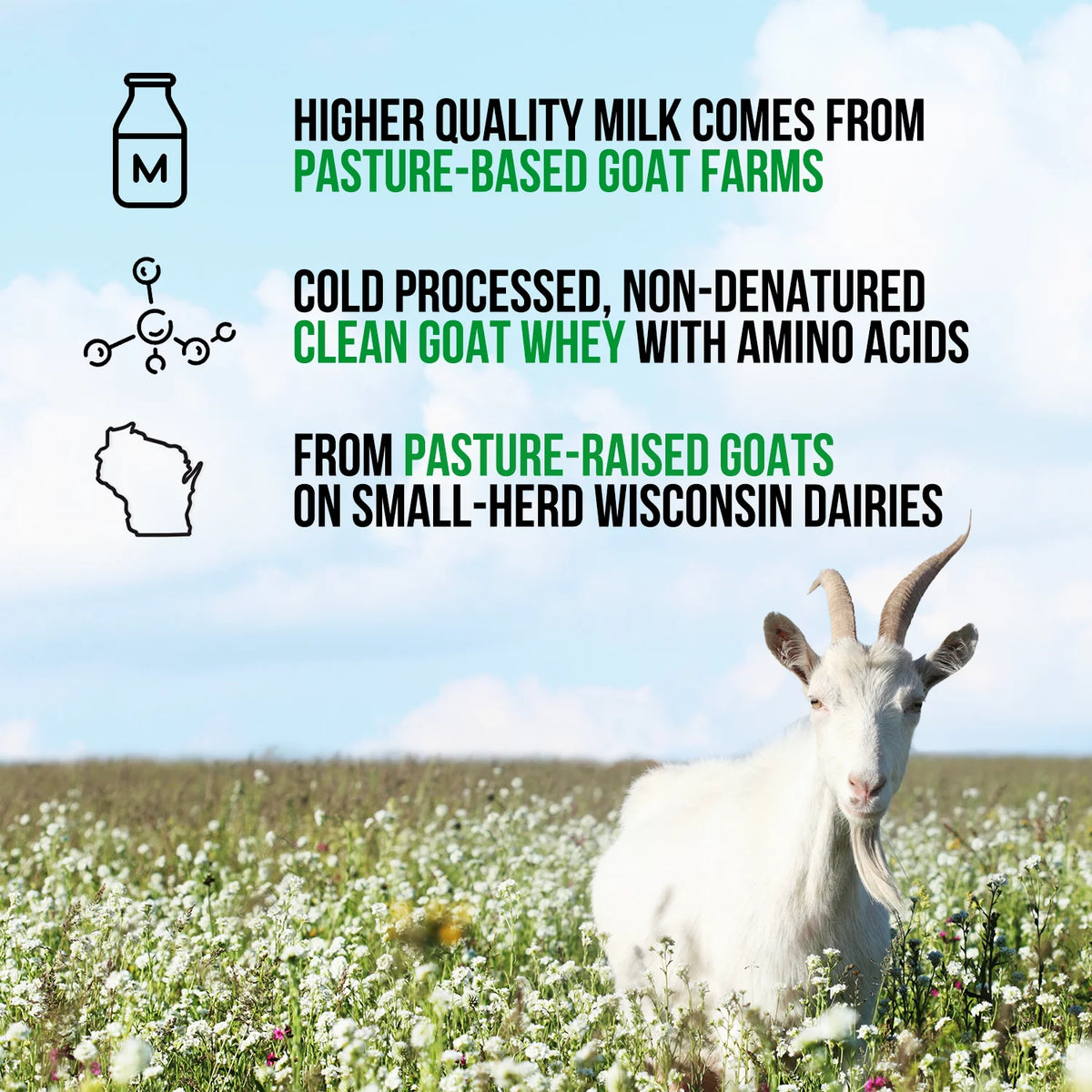 Pasture Fed Goat Whey Protein Powder 2lb N8971