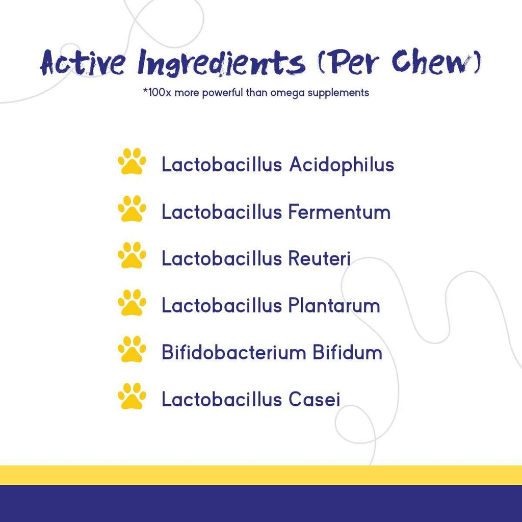 Digestive Support Chews for Dogs Q93671