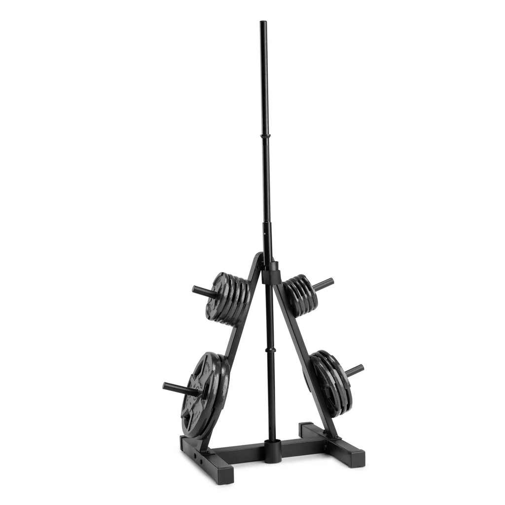 Weight Plate Tree Rack N821