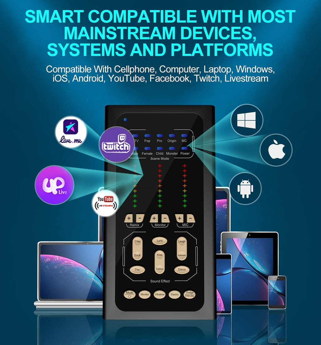 Studio Condenser Microphone USB Live Sound Card Audio Interface H40397