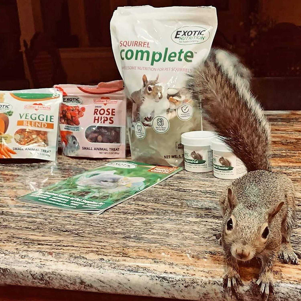 Squirrel Food Starter Package W457763