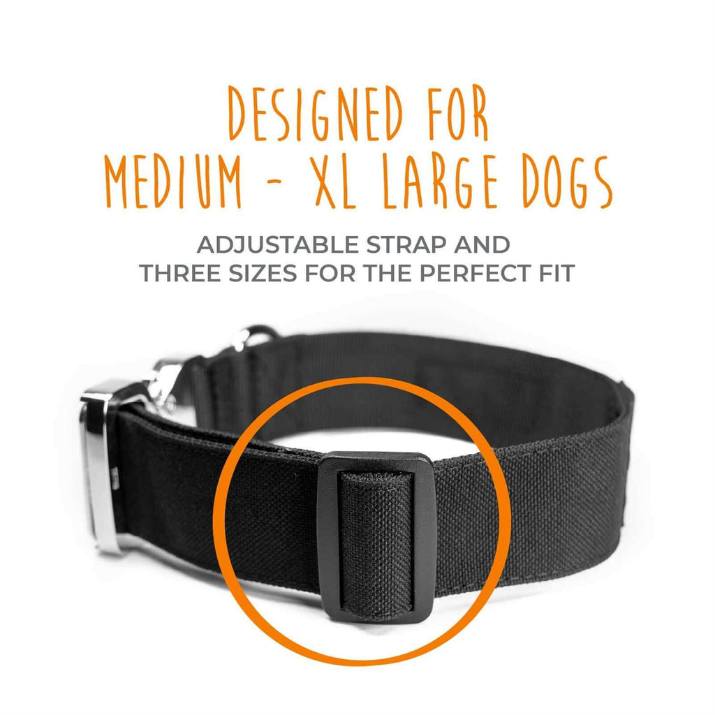 Heavy Duty Dog Collar with Metal Buckle Z446