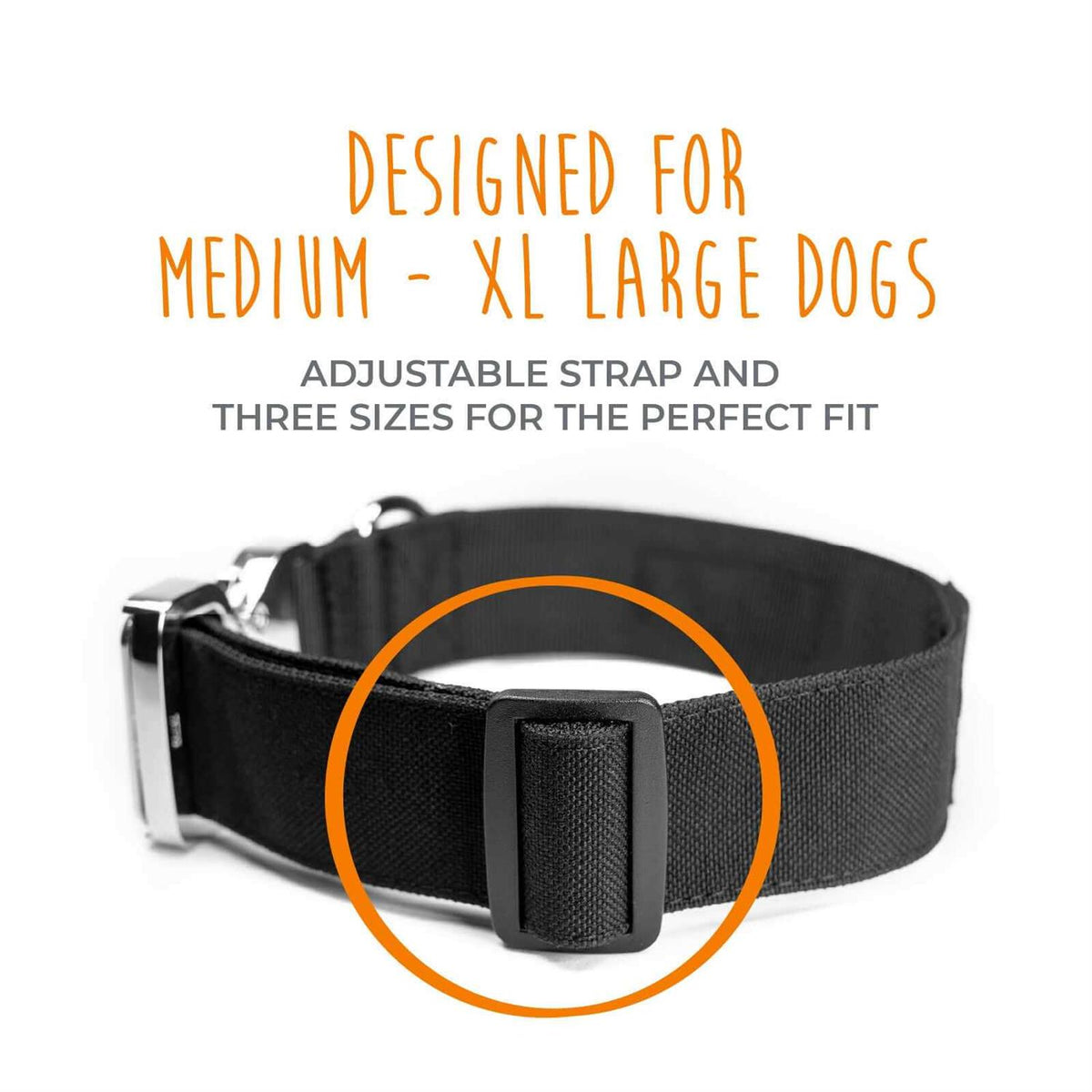 Heavy Duty Dog Collar with Metal Buckle Z446