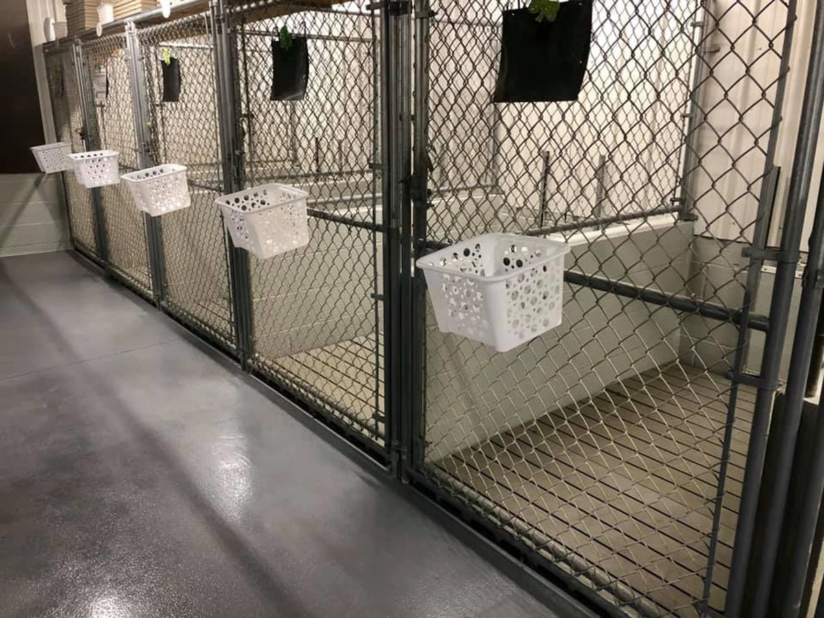 1 pack Kennel Deck U8055