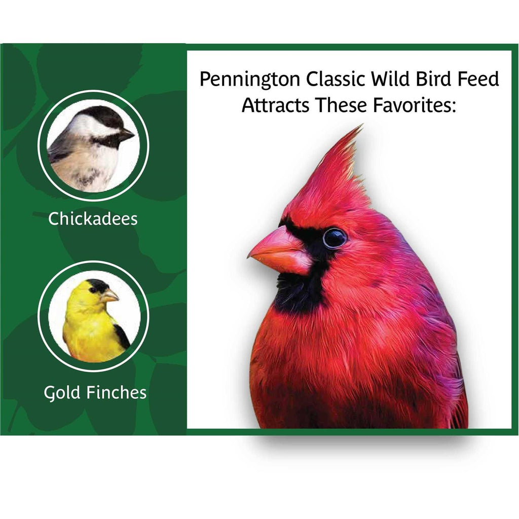 Wild Bird Feed and Seed N43090