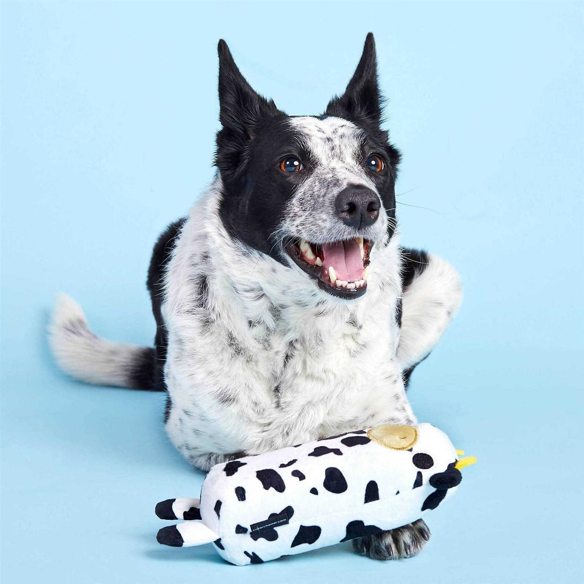Cow Dog Toy S842