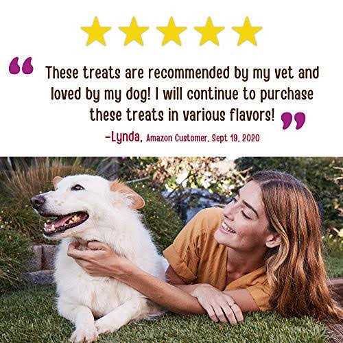 Chicken Nuggets Dog Treats L8124