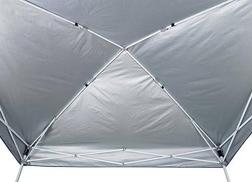 Blue 10 by 10-Feet Canopy L93359