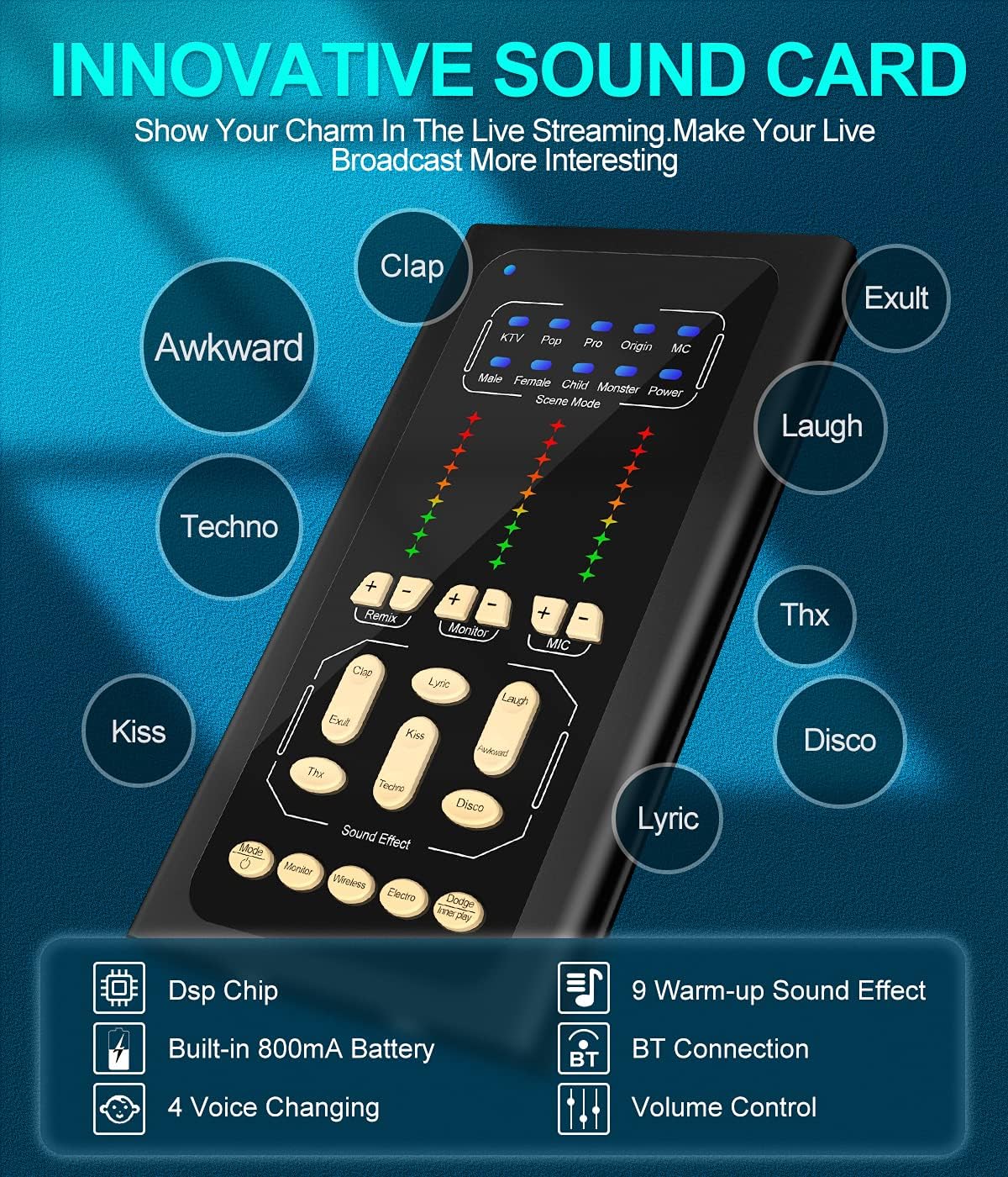 Studio Condenser Microphone USB Live Sound Card Audio Interface H40397