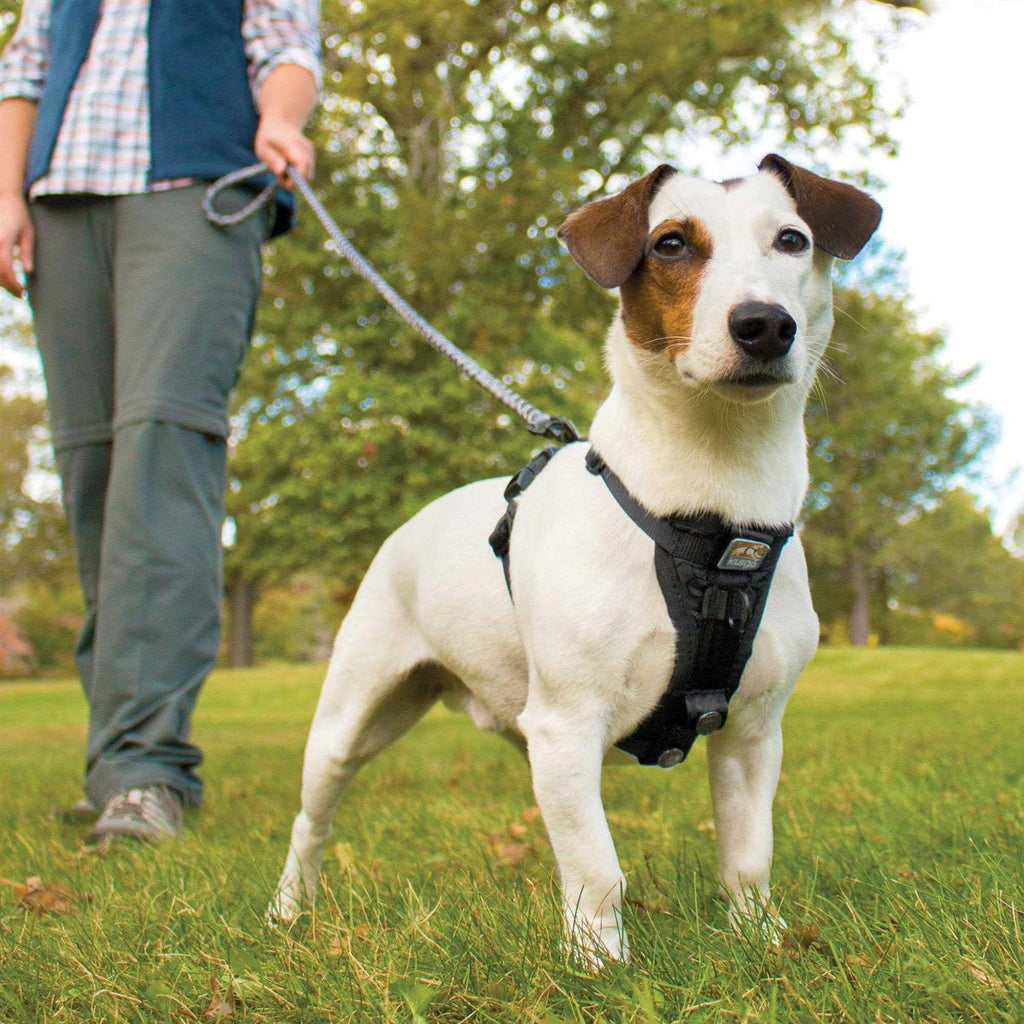 Tru Fit Smart Harness J414690