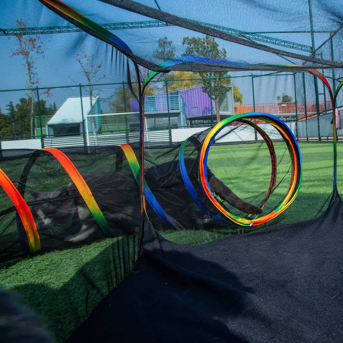 Outdoor Cat Enclosures Playground Portable Cat Tent N287