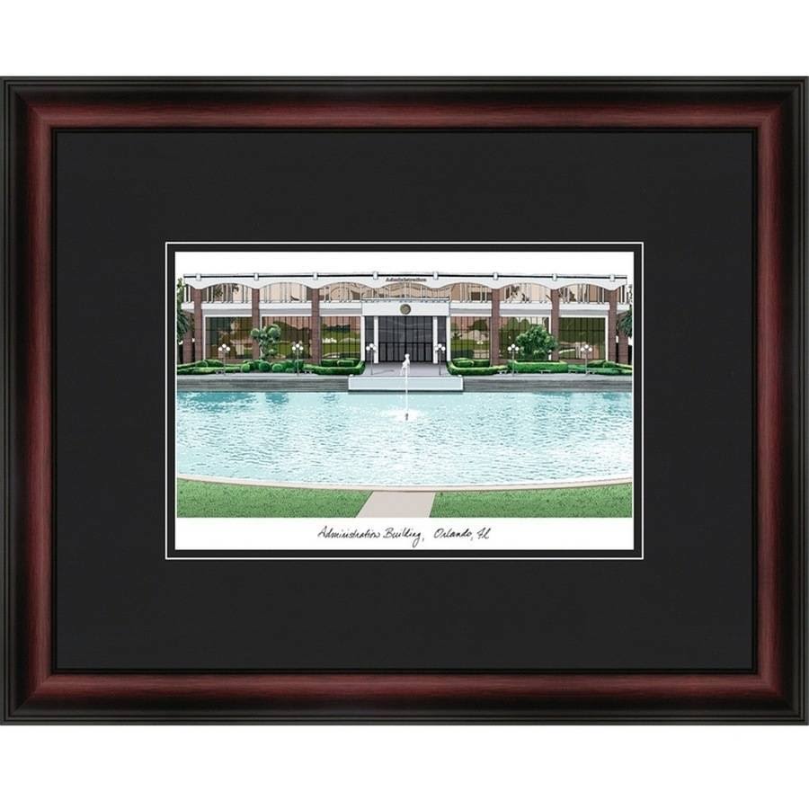 Framed Lithograph P429569
