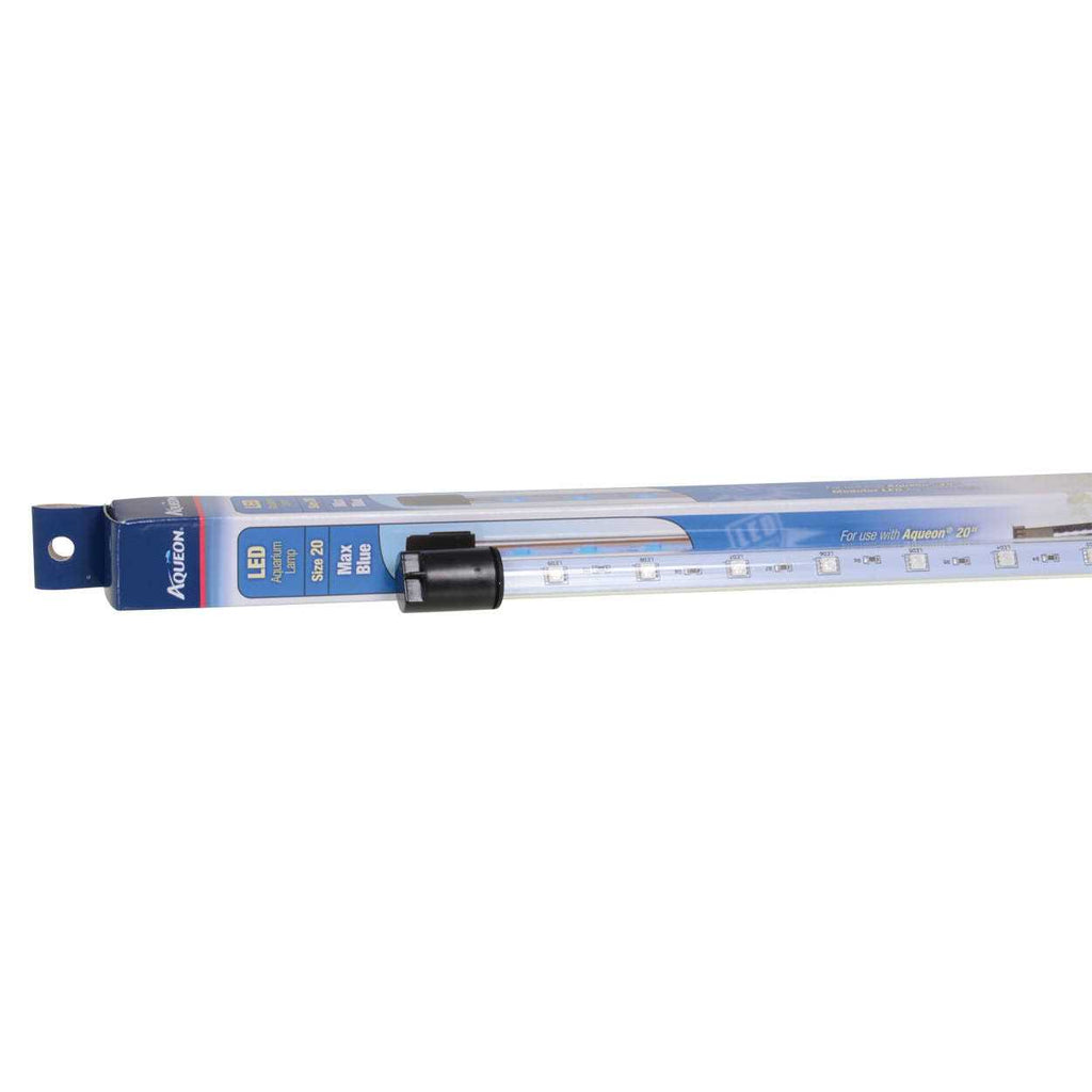 Blue LED Lamp T827042