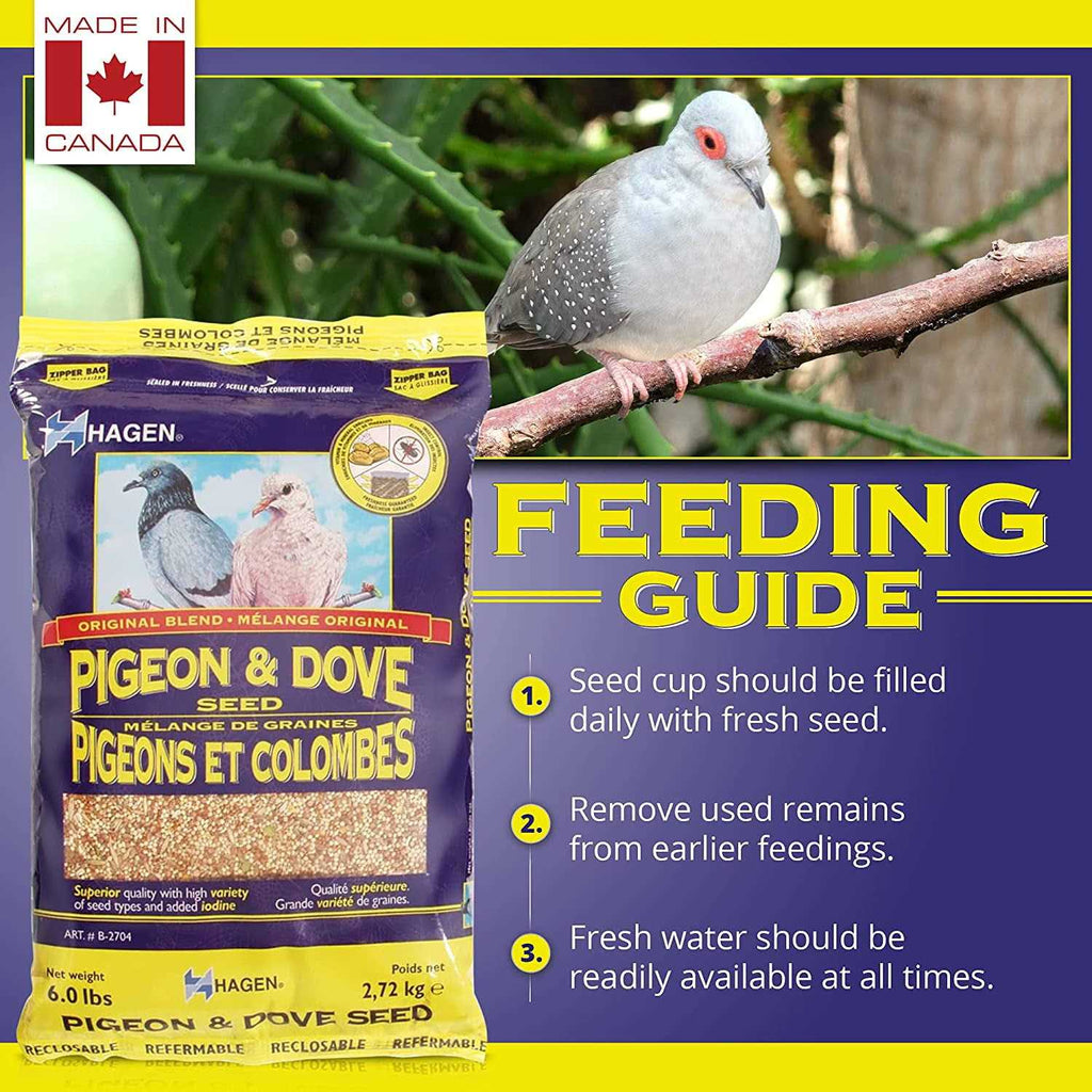 Pigeon & Dove Seed N23948