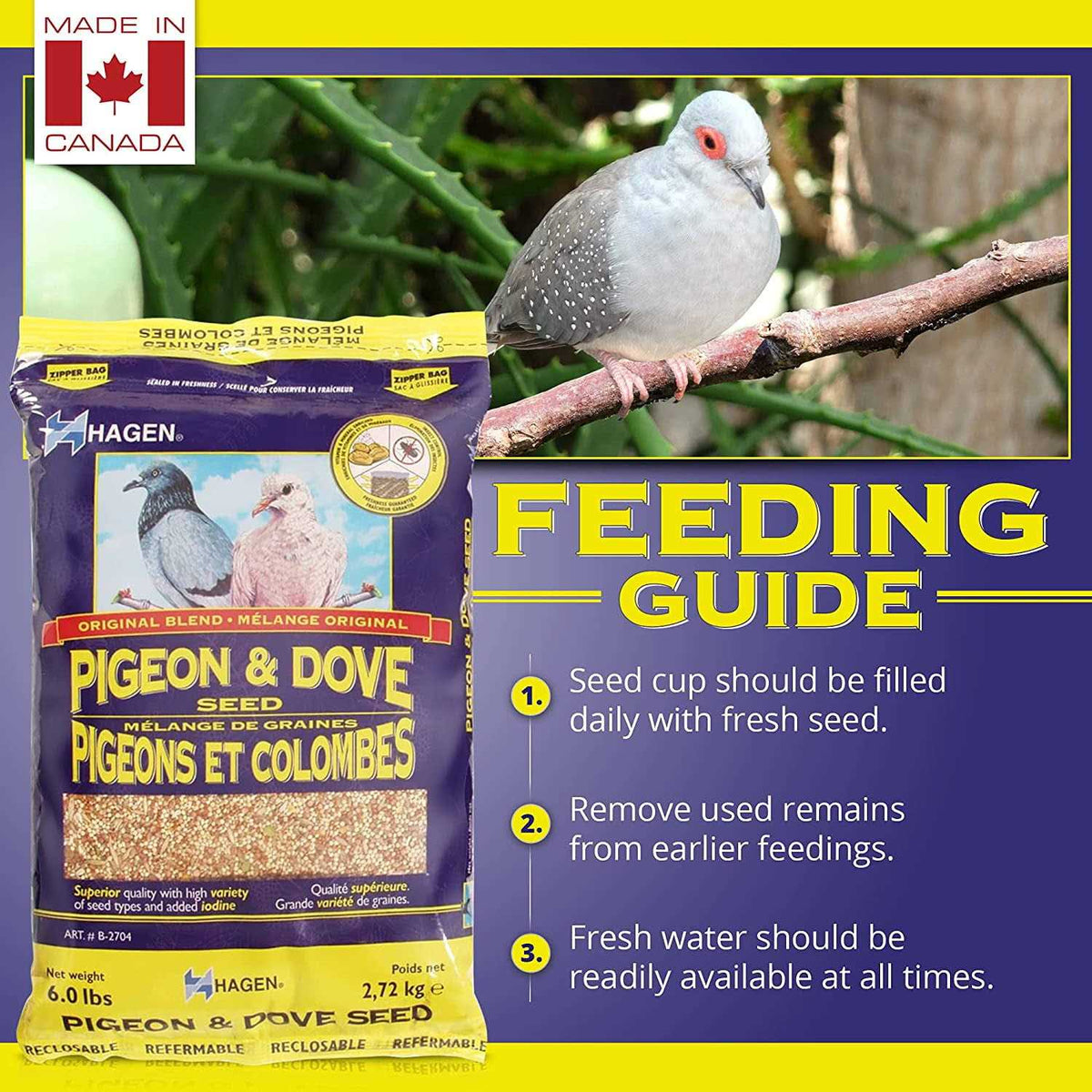 Pigeon & Dove Seed N23948