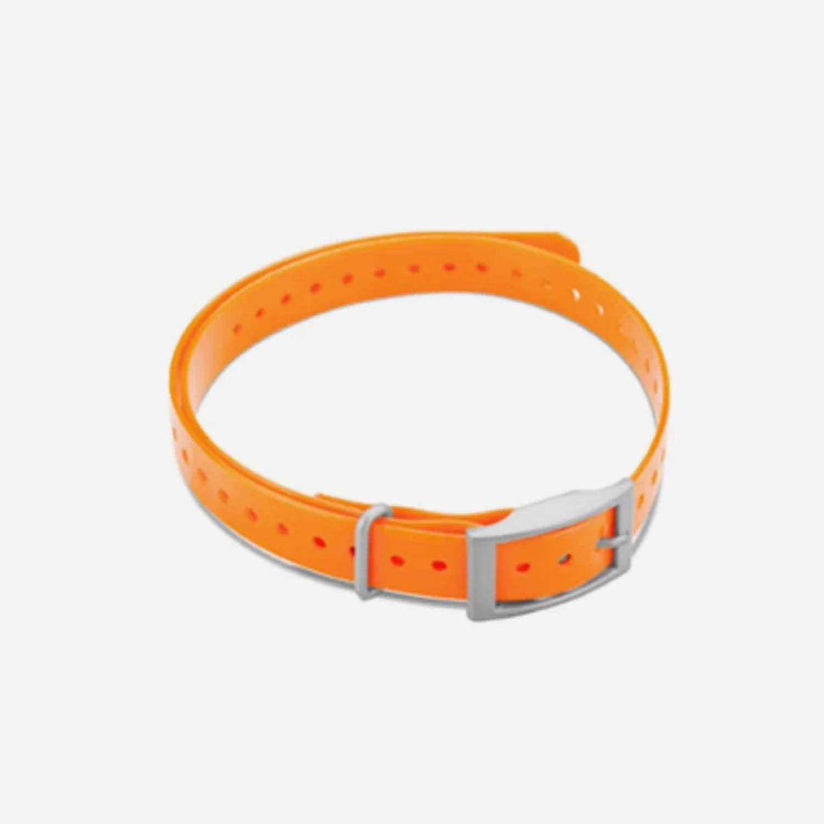 Collar Strap O344