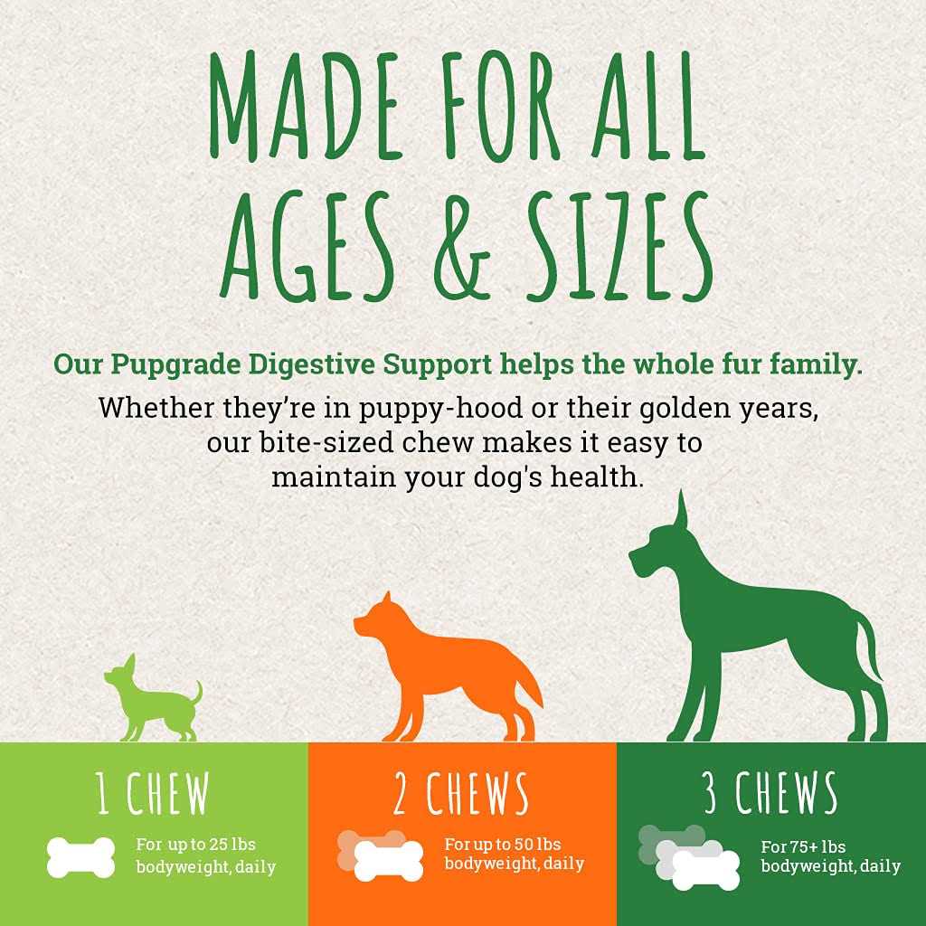 Digestive Support Chews for Dogs Q93671