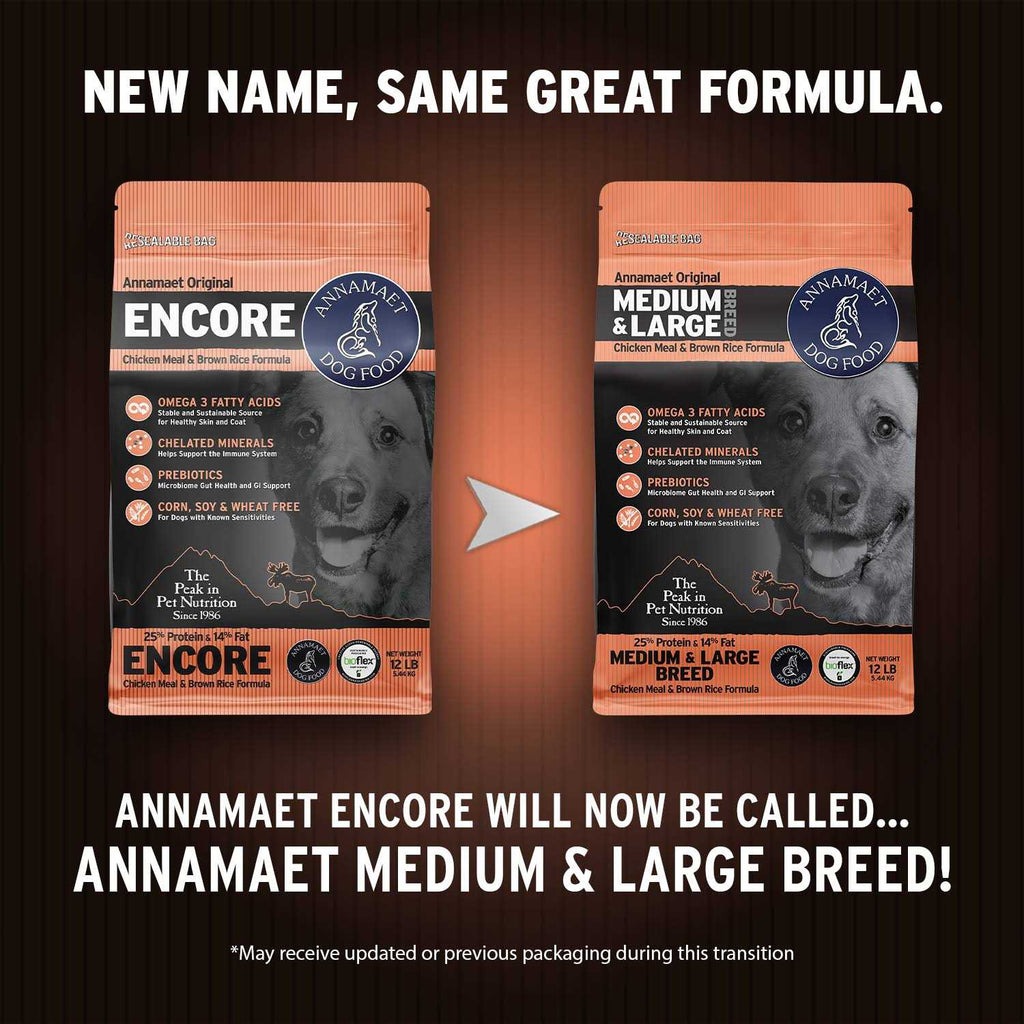 Medium & Large Breed Dry Dog Food H5067
