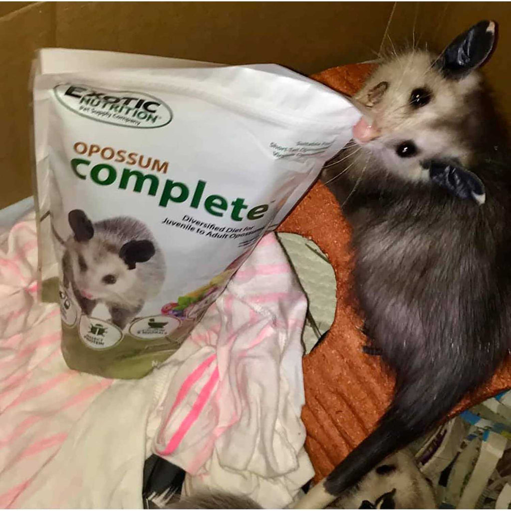 Opossum Complete Food Y113
