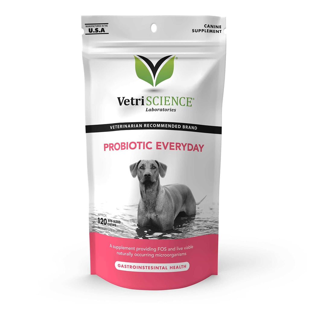 Probiotic Everyday Chews for Dogs G271974