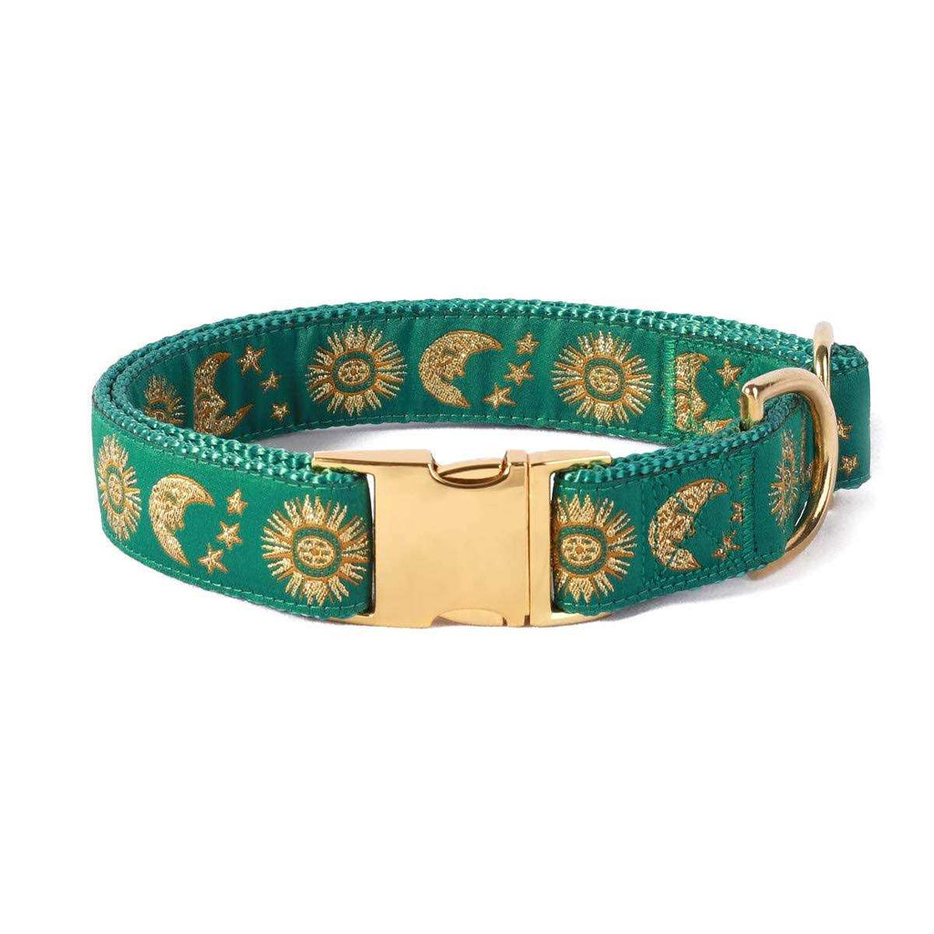 Cat Collar Dog Collar Cat Leash Z4564