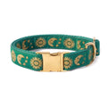 Cat Collar Dog Collar Cat Leash Z4564