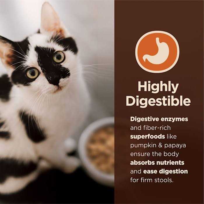 Wet Cat Food Pate Recipe Q518