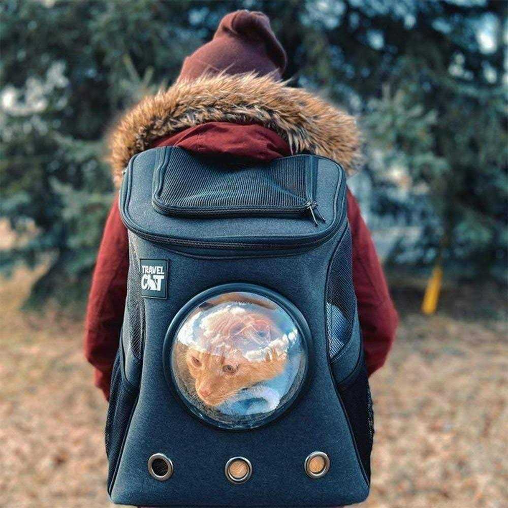 Cat Backpack V659