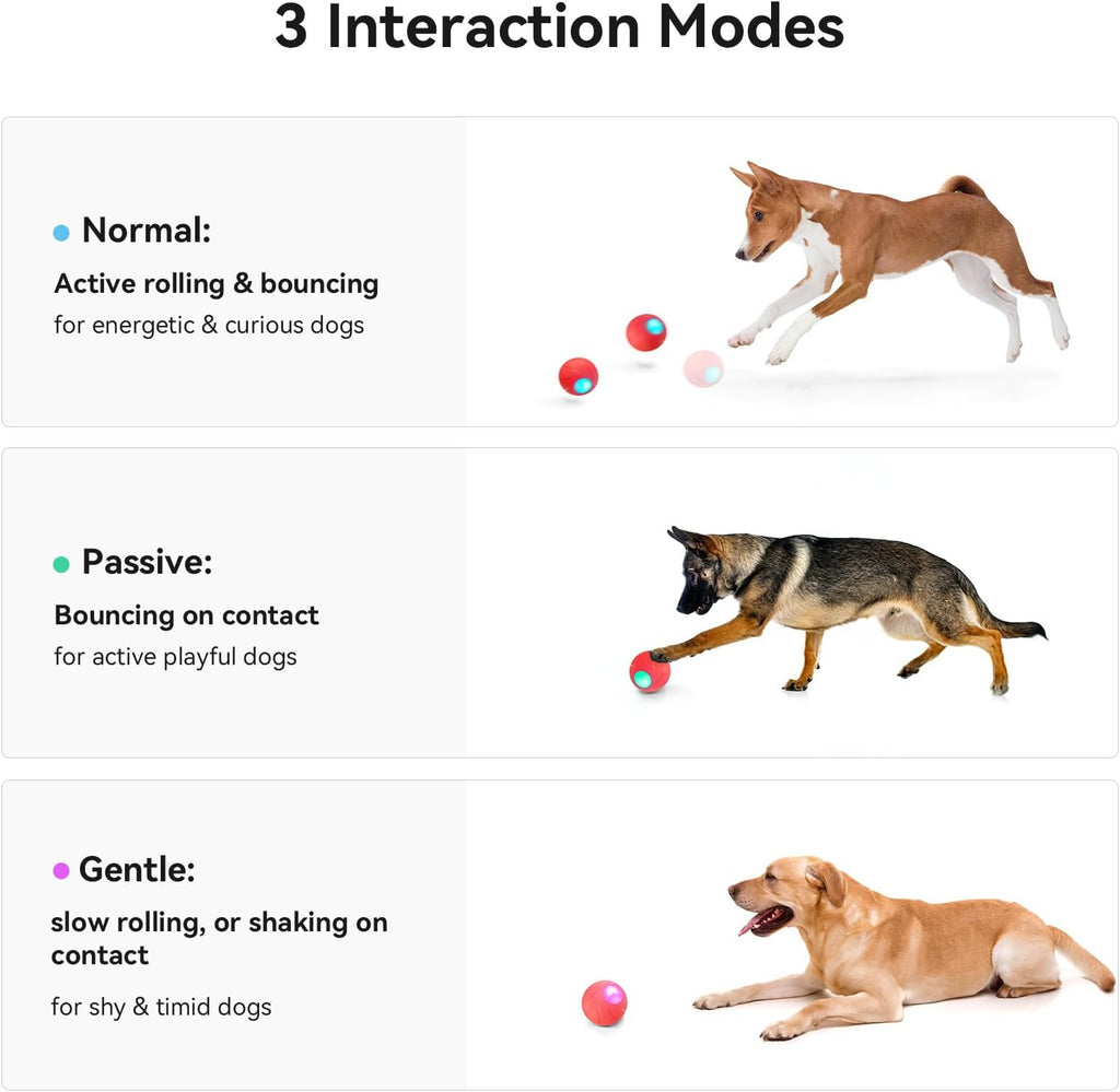 Smart Interactive Dog Toy with LED Lights E69576