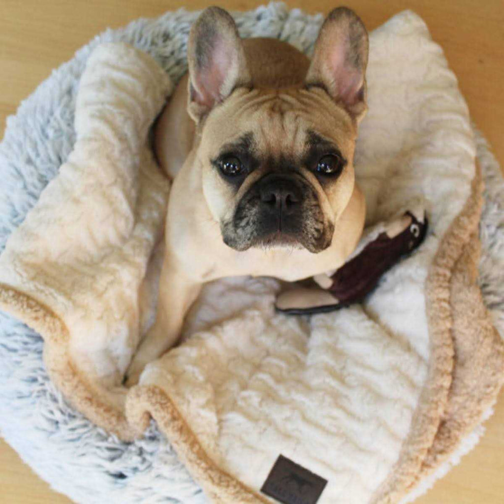 Dream Cuddle Bed N87995