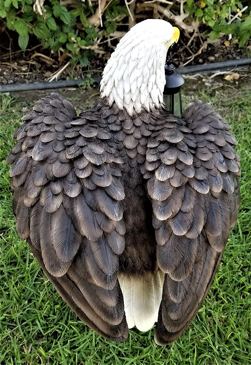 Solar American Bald Eagle Statue with Solar Light E575674