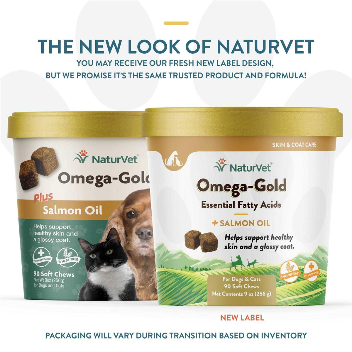 Salmon Oil Soft Chews H4225