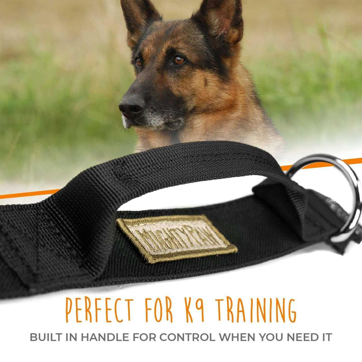 Heavy Duty Dog Collar with Metal Buckle Z446