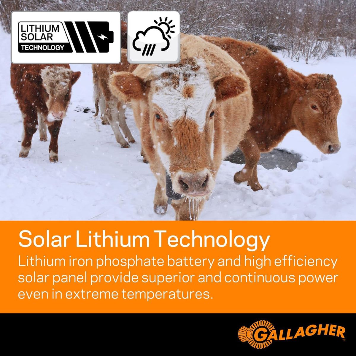 Solar Electric Fence Charger 0.3 Stored Joule Energizer K5879