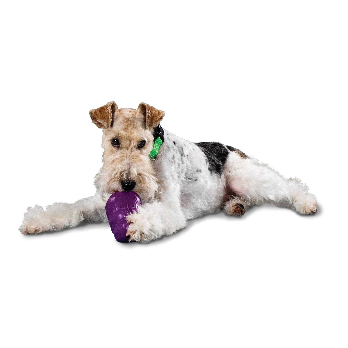 Squirrel Dude Dog Toy E23438