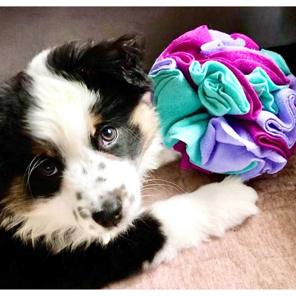 Snuffle Balls Dog Toy G307156