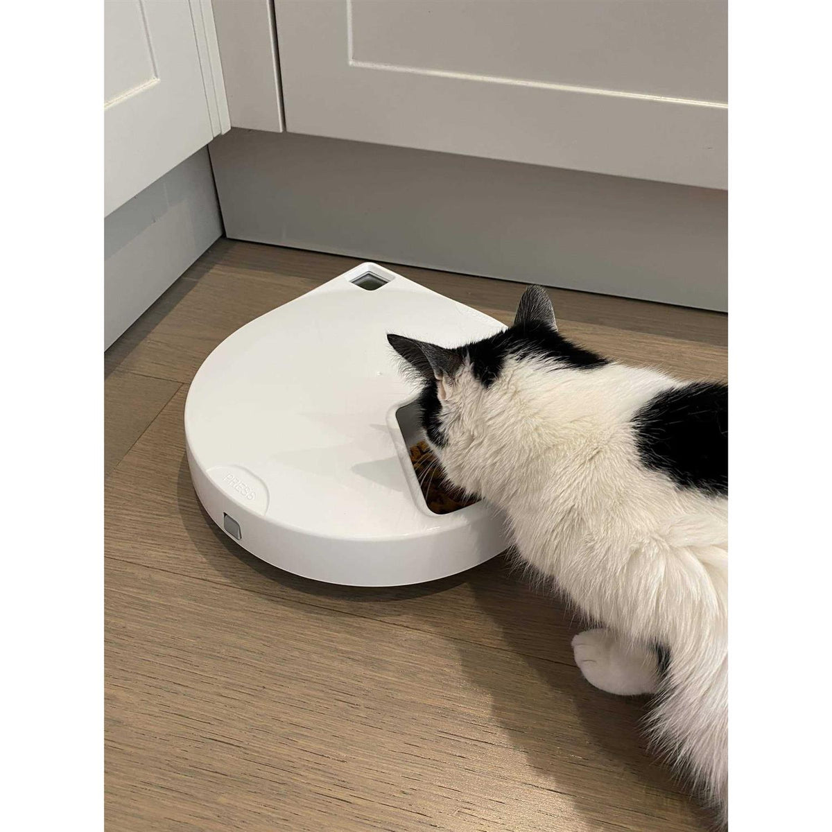 Automatic Pet Feeder with Stainless Steel Bowl Inserts and Ice Packs N7755