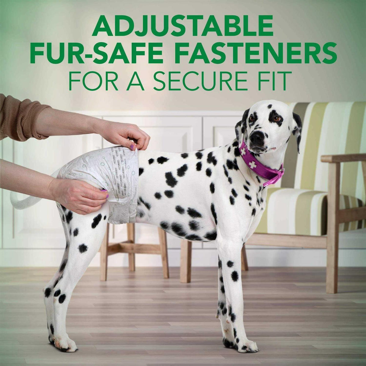 Disposable Female Dog Diapers V22618