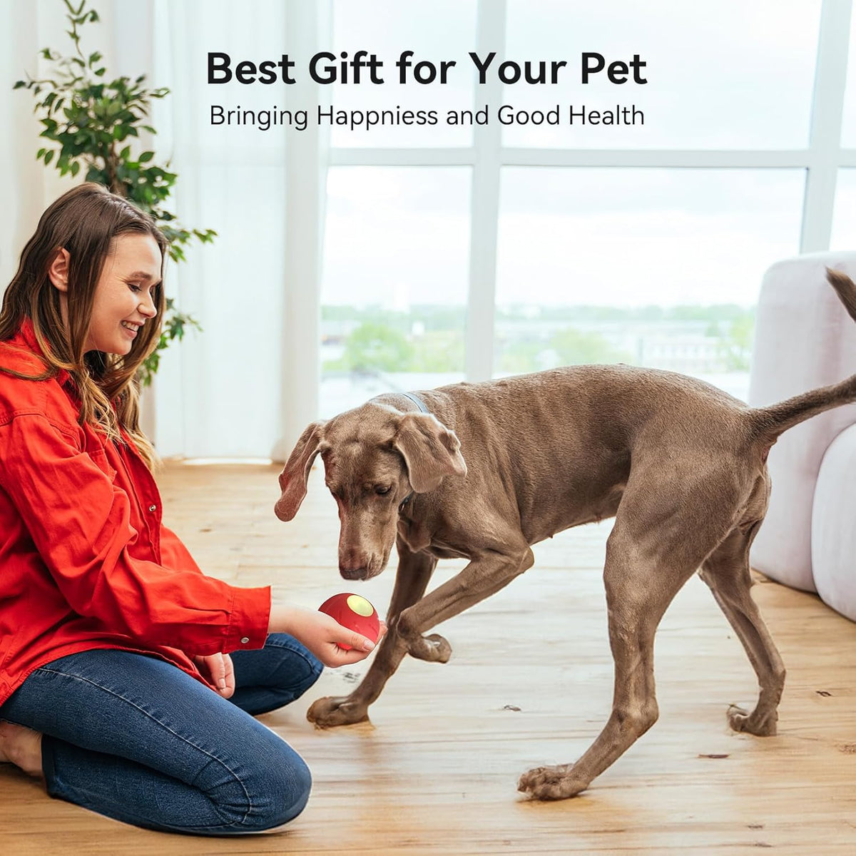 Smart Interactive Dog Toy with LED Lights E69576