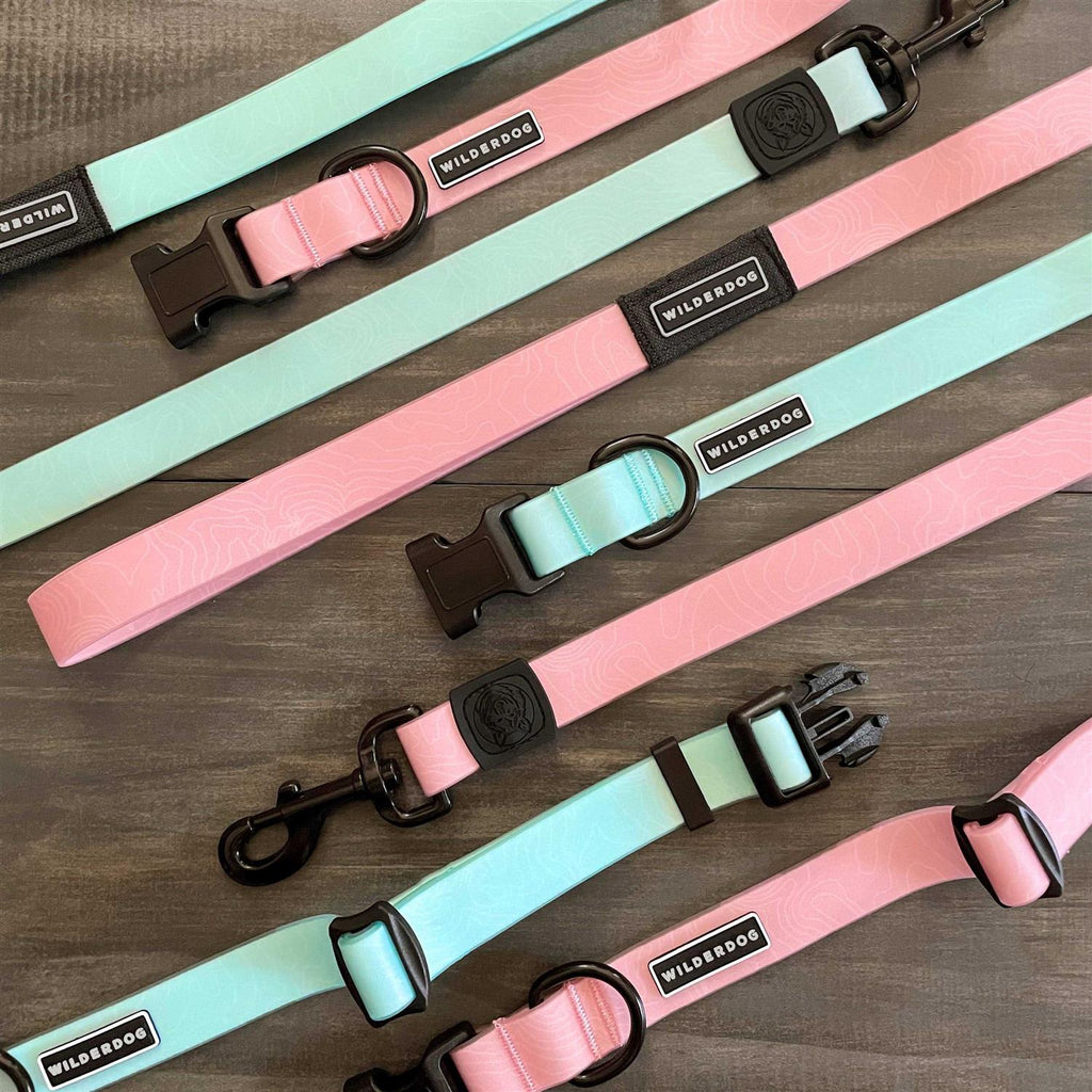 Waterproof Leash B335