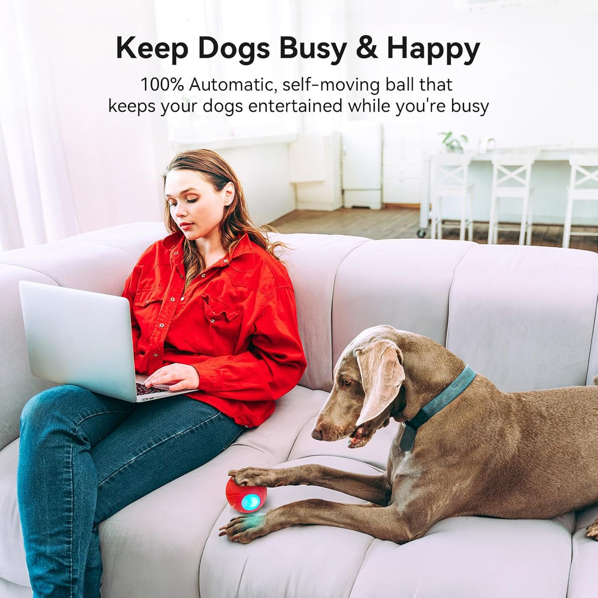 Smart Interactive Dog Toy with LED Lights E69576